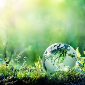 Sustainability in the hotel industry: a guide to the future